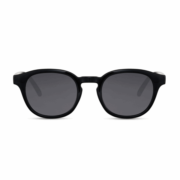 Sončna očala Fancy 6183